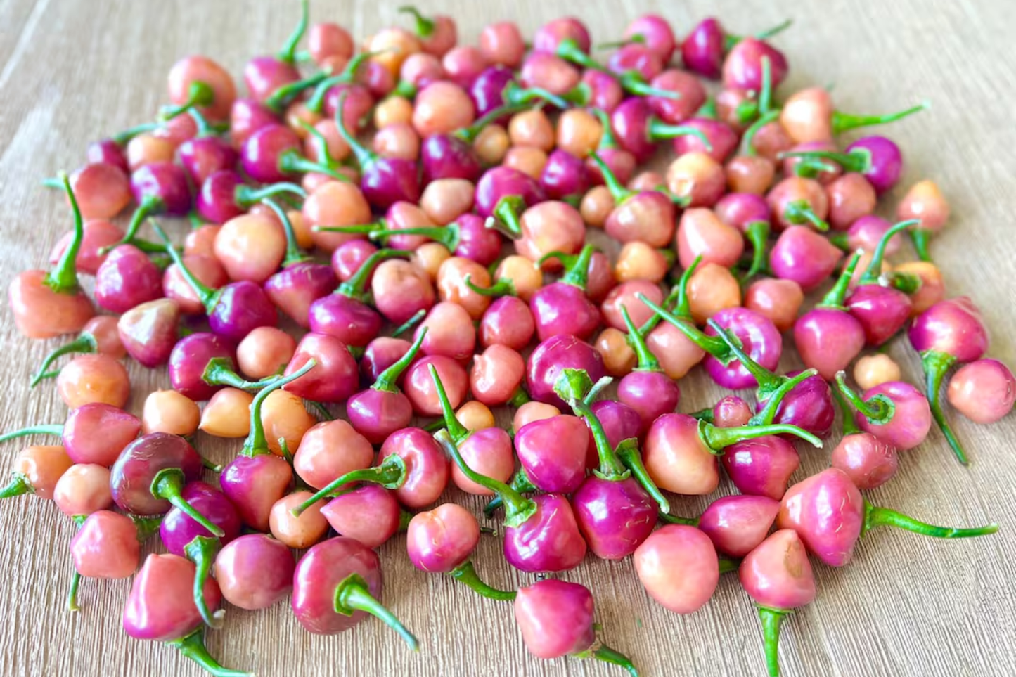 Kit à planter - Piment Cheiro Roxa (très fort, 40-60k SHU)