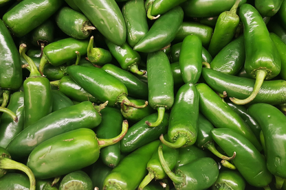 Kit à planter - Piment Jalapeño Jumbo