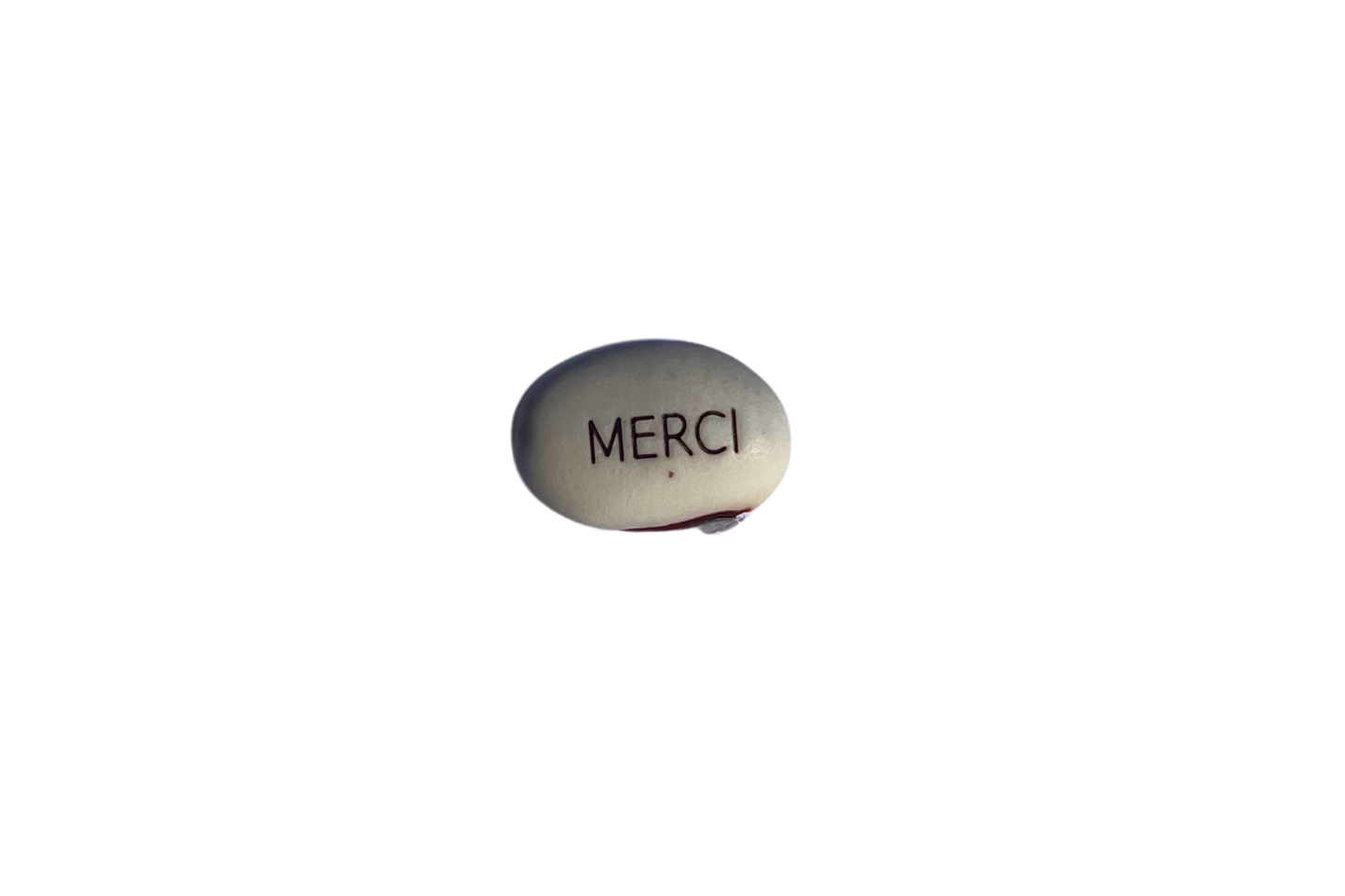 Kit à planter personnalisé - Merci