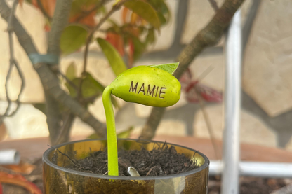 Kit à planter personnalisé - Je t'❤ Mamie