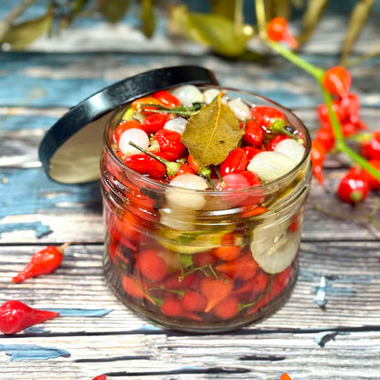 Kit à planter - Piment Biquinho rouge