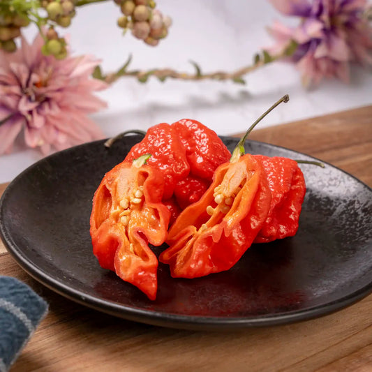 Kit à planter - Piment Carolina Reaper rouge